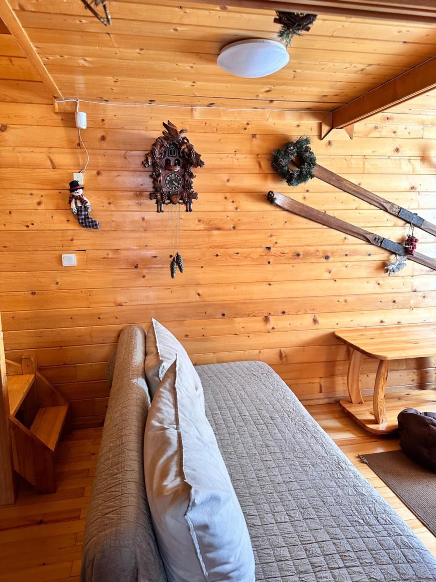 Alpine Ski Chalet Borovets With Sauna Exterior photo