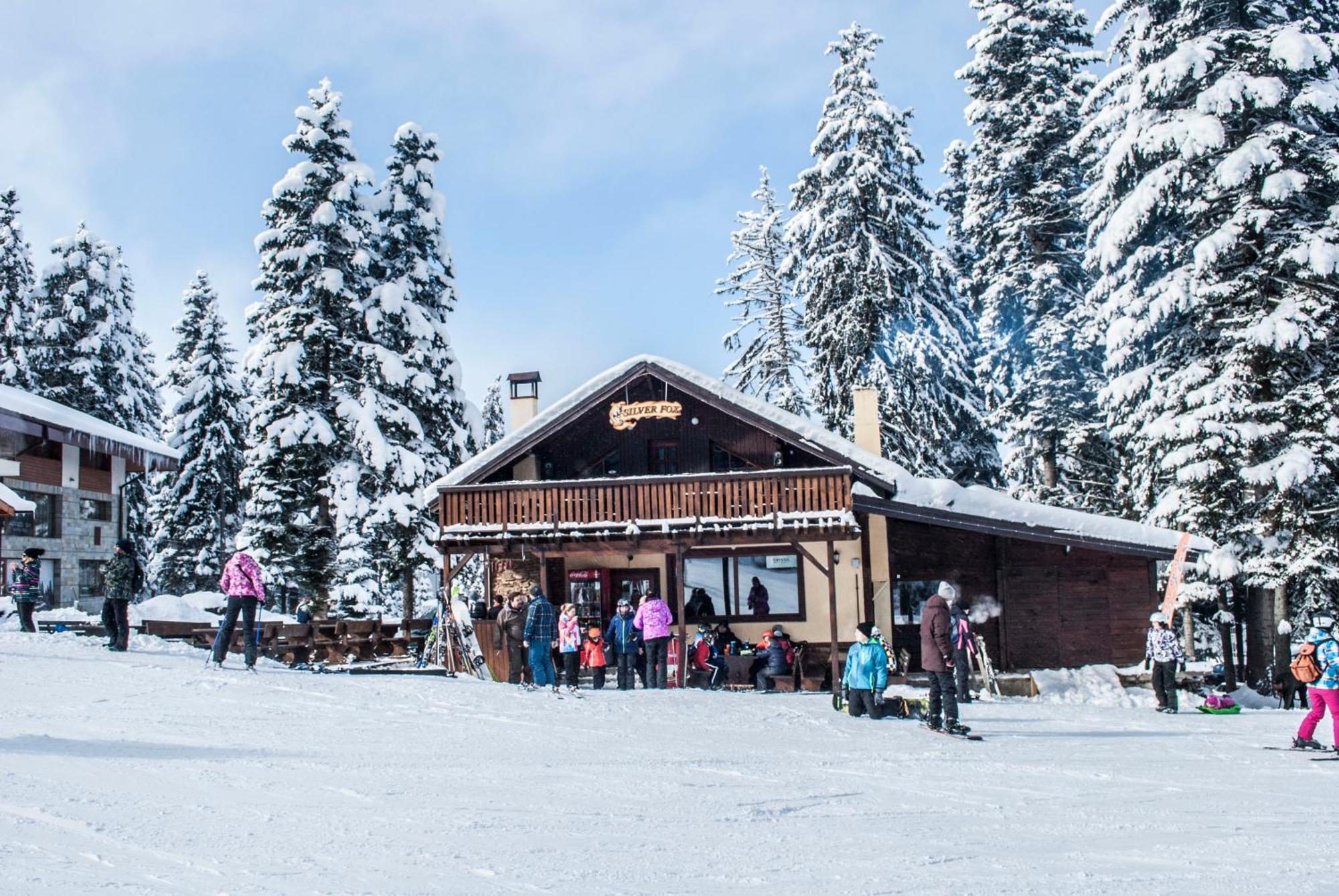 Alpine Ski Chalet Borovets With Sauna Exterior photo