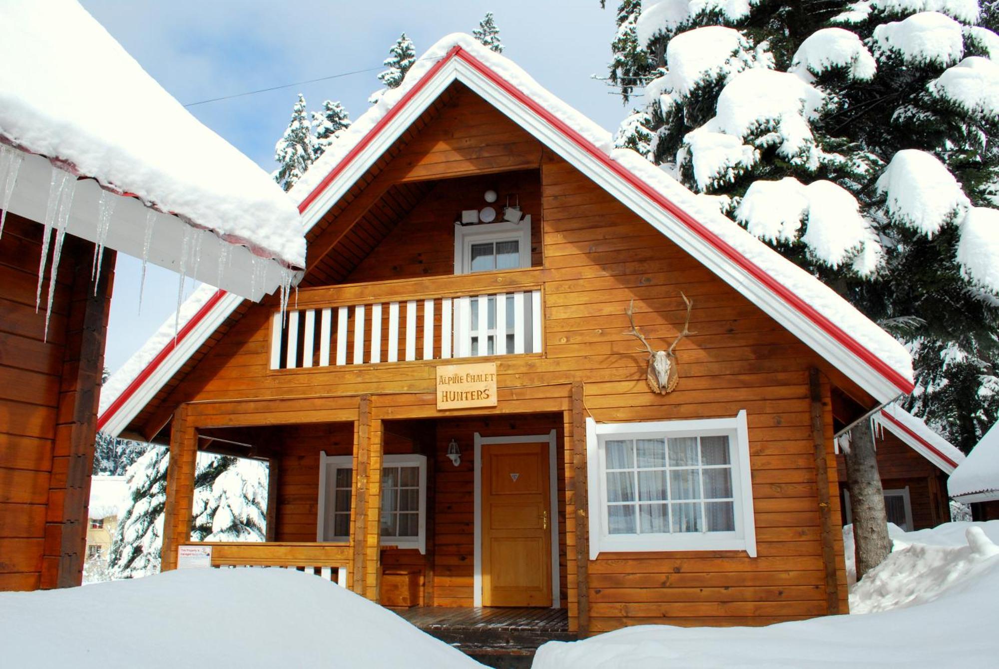 Alpine Ski Chalet Borovets With Sauna Villa Exterior photo