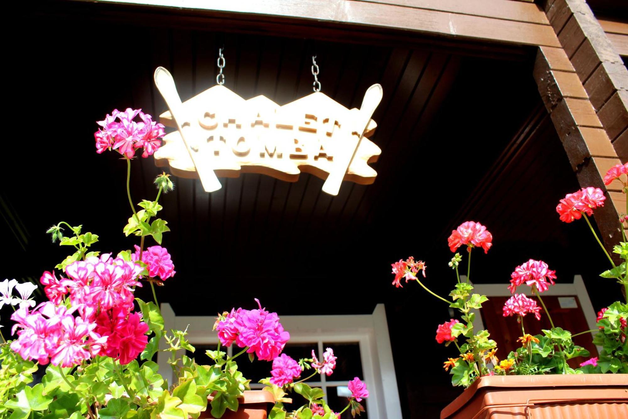 Alpine Ski Chalet Borovets With Sauna Exterior photo